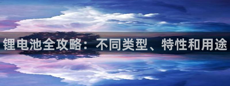 尊龙凯时取款一直支付中：锂电池全攻略：不同类型、特性和用途