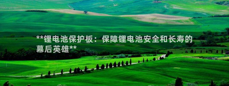 尊龙凯时官网平台：**锂电池保护板：保障锂电池安全和长寿的
幕后英雄**