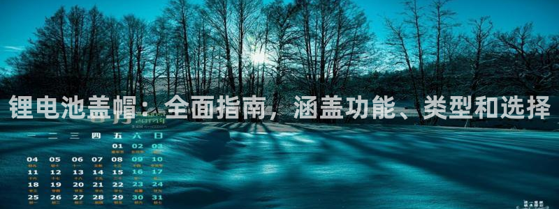 尊龙d88官网so问来就送38：锂电池盖帽：全面指南，涵盖功能、类型和选择