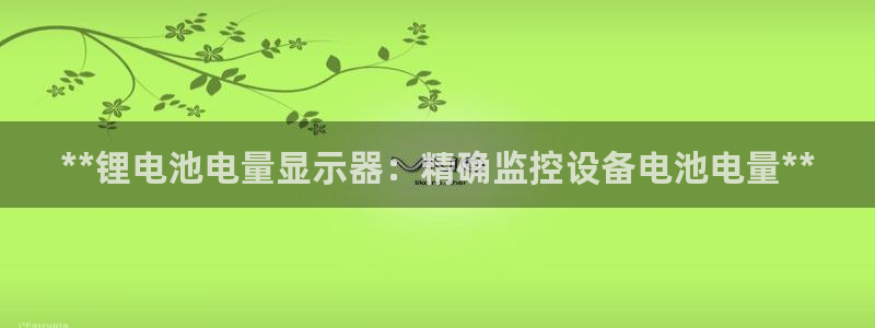 尊龙凯时白家乐Abb下载：**锂电池电量显示器：精确监控设备电池电量**