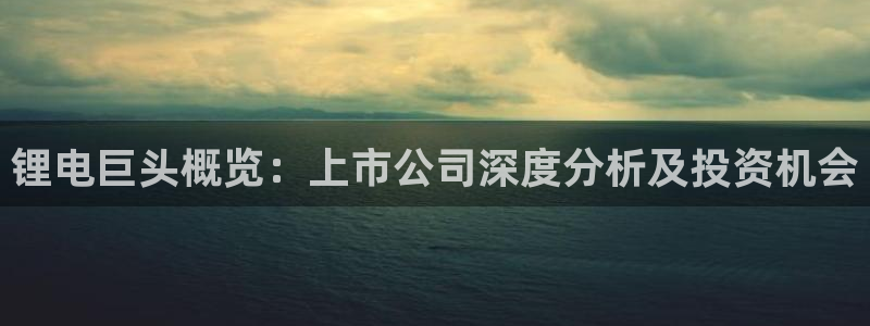 尊龙官网免费下载：锂电巨头概览：上市公司深度分析及投资机会