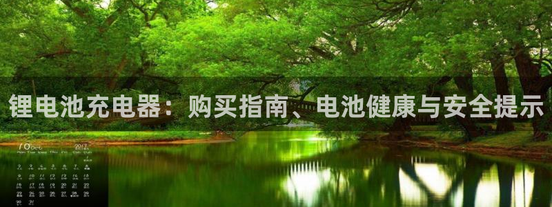 尊龙凯时不给提款：锂电池充电器：购买指南、电池健康与安全提示