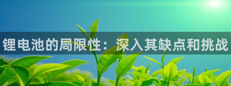 尊龙人生就是博官网登录手机：锂电池的局限性：深入其缺点和挑战